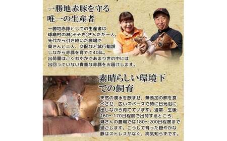 熊本県 球磨村 【2カ月定期便】一勝地赤豚 しゃぶしゃぶ・焼肉 堪能定期便 FKP9-420