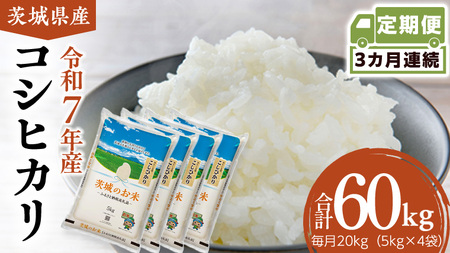 【 定期便 3ヶ月 】 茨城県産 コシヒカリ 20kg [DK032ci]