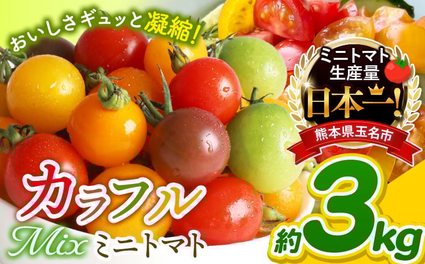 
            ミニトマト 生産量 日本一 玉名市 !! サザキ農園 ミニトマト 彩りセット（ ミックス ）約 3kg  | 野菜 トマト ミニトマト プチトマト とまと カラフル トマト 宝石 ミニトマト 熊本県 玉名市
          