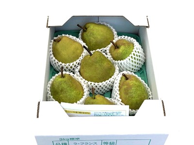 西洋梨（ラ・フランス）３.３ｋｇ　大玉　秀品　0009-2513