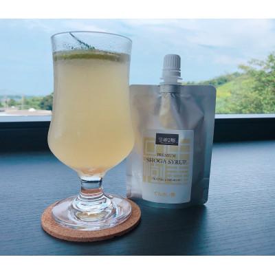 ふるさと納税 福津市 プレミアムしょうがシロップ(てんさい糖)120g×4本[F4487s]