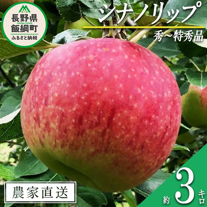 【ふるさと納税】 りんご シナノリップ 秀 〜 特秀 3kg サイズおまかせ 井澤農園 沖縄県への配送不可 令和7年度収穫分 エコファーマー認定 長野県 飯綱町 〔 信州 果物 フルーツ リンゴ 林檎 長野 15000円 予約 農家直送 〕発送時期：2025年8月中旬〜2025年9月上旬 {***}