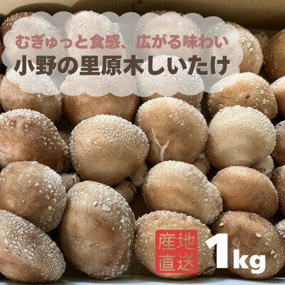 【ふるさと納税】むぎゅと触感 広がる味わい 小野の里「原木しいたけ」1kg【配送不可地域：離島・北海道・沖縄県・東海・近畿・中国・四国・九州】【1690354】