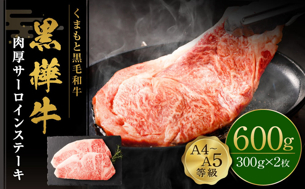 
くまもと黒毛和牛 杉本本店 黒樺牛 A4~A5等級 肉厚サーロインステーキ 300g×2 計600g
