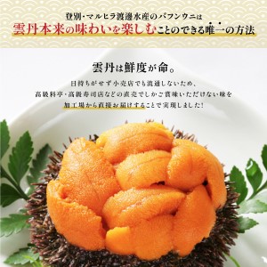 ≪規格外品600g≫無添加エゾバフンウニ塩水パック600g A 23年6月上旬～8月中旬迄