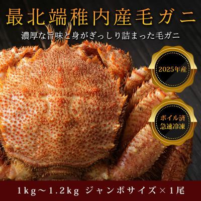 ふるさと納税 稚内市 【ボイル済み急速冷凍】身がパンパンに詰まった稚内産毛ガニ 1尾1kg〜1.2kgもあるジャンボサイズ
