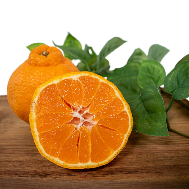 
                  訳あり 不知火 5kg
                