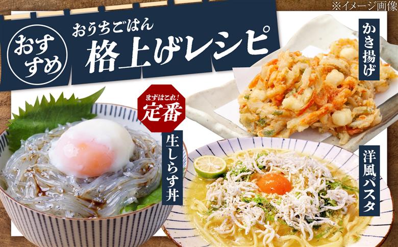 【全6回定期便】しらす 冷凍 シラス　小分け 干し 生しらすのプリッした食感と塩味が抜群！生しらす50g×42個 冷凍 シラス 鮮魚 ギフト 海鮮丼 広島県産 江田島市/三島水産株式会社 [XCN01