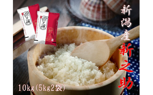 【令和7年産】阿賀野市産「新之助」10kg（5kg×2袋） 安田興和農事 白米 精米 生産者直送 新潟県 米 こめ コメ 1W05030