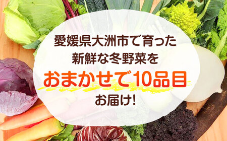 【11月中旬から順次発送】寒い冬の温かな料理に！かとう旬菜畑から直送 冬野菜おまかせ便10種 冬野菜 旬 新鮮 鍋 おうちごはん 愛媛県大洲市/かとう旬菜畑[AGCW001]