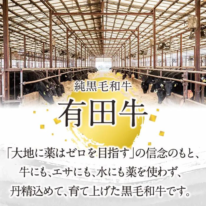 宮崎黒毛和牛すき焼きしゃぶしゃぶローススライス(500g)【AR004】【(有)有田牧畜産業 食肉加工センター】