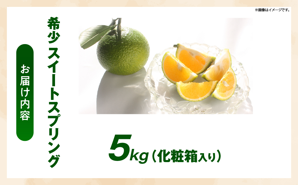 【先行予約】希少柑橘「スイートスプリング」5kg [化粧箱] 果物 フルーツ くだもの 柑橘 オレンジ みかんジュース おすすめ ギフト 贈り物 贈答 プレゼント おすそ分け おやつ スイーツ デザー