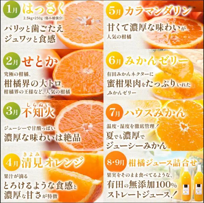 【定期便】家庭用 柑橘定期便 S 3回（7～9月）※北海道・沖縄・離島への配送不可※7月・8月・9月に発送