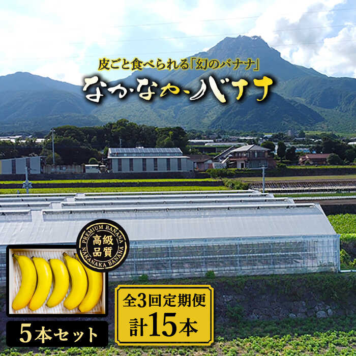 【3回定期便】【皮ごと食べられる！】なかなかバナナ  5本〈7月〜9月は発送停止〉 / バナナ フルーツ 果物 定期便 フルーツ定期便 / 南島原市 / ミナサポ [SCW035]_イメージ1