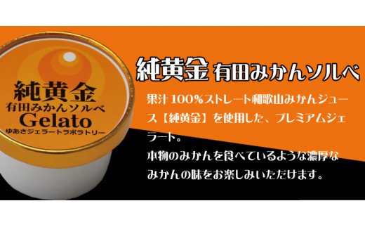 プレミアムジェラート 純黄金12個セット 有田みかんソルベ アイスクリームセット 100mlカップ ゆあさジェラートラボラトリー【kztb700-08】