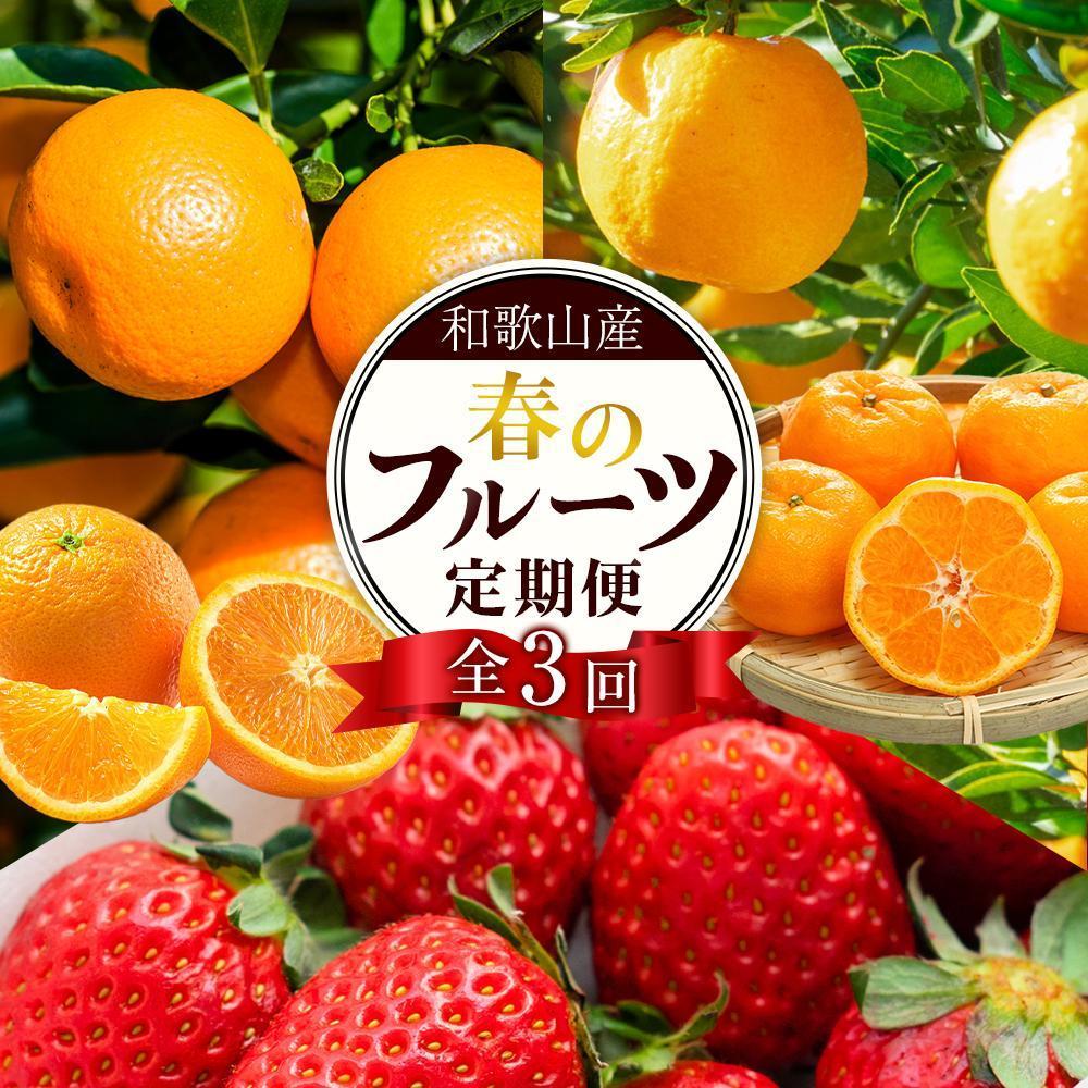 【ふるさと納税】定期便全3回 【2月・3月・4月発送】 和歌山の春のフルーツ （ポンカン・清見オレンジ・まりひめ）【TM174】 | フルーツ 果物 くだもの 食品 人気 おすすめ 送料無料 定期便 産地直送