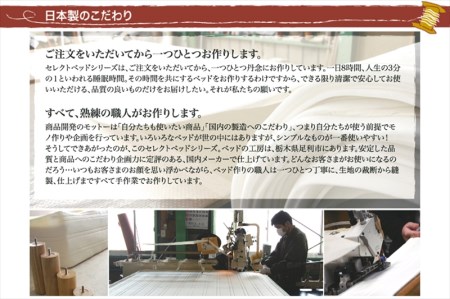 ザ・ベッド セミダブル ライトブラウン 120×195 脚22cm ブラウン 脚付きマットレス F7Z-873