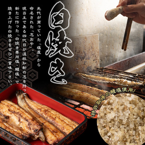 うなぎ処 四代目 志おや うな重ペアお食事券(うな重特・うな丼特もしくは蒲焼・白焼き松(持ち帰りは鰻弁当特・蒲焼白焼き松より2点))チケット 食事券 うなぎ 鰻 志おや【109400700】【志おや】