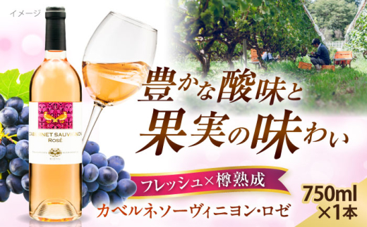 ワイン 奥出雲葡萄園 カベルネソーヴィニヨン・ロゼ  国産 ワイン セット ロゼワイン カベルネソーヴィニヨン ロゼ 1本 単品 お酒 酒 アルコール 日本ワイン 国産ワイン 地ワイン 750ml 辛口 フルーティー お取り寄せ 贈り物 プレゼント 贈答 お祝い 誕生日 記念日 パーティー 人気 おすすめ 送料無料 冷酒 奥出雲 晩酌 島根県雲南市/有限会社奥出雲葡萄園  [AICS024]