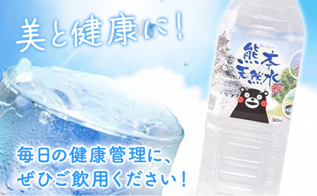 シリカ天然水 500ml×24本 株式会社Foody's《30日以内に出荷予定(土日祝除く)》熊本県 菊池市 シリカ水 飲料水 ミネラルウォーター 水 軟水 鉱水 ペットボトル