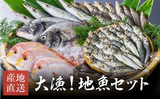 
                  獲れたら発送！地魚セット（8~12匹 計2.5~3kg）
                
