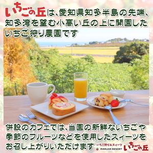 まるは食堂 マルハリゾート いちごの丘 『訳あり』完熟 冷凍いちご 2kg 1kg×2袋 ｜ 訳あり いちご イチゴ 冷凍 2kg 国産 完熟 スムージー ジャム ヨーグルト シャーベット デザート 