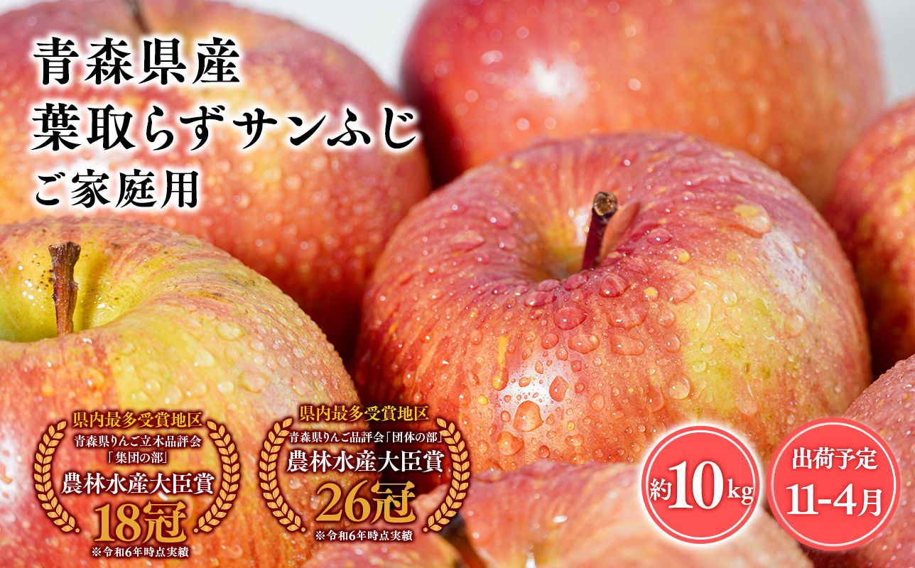 2026年産１１月～4月発送　【訳あり】家庭用葉とらずサンふじ10kg【青森県 平川市 そと川りんご園】１１月～４月発送 家庭用 青森 青森県産 平川 りんご リンゴ 林檎 くだもの 果物 フルーツ 