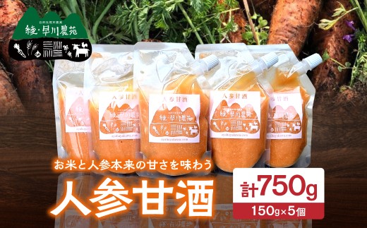 人参甘酒 5個 セット にんじん あま酒 にんじん甘酒 砂糖不使用 ノンアルコール 甘酒シャーベット 炭酸割 牛乳割 ホット甘酒 パウチ 米麹 お米 濃厚でまろやか ギフト 贈り物 プレゼント 贈答 常温 パックタイプ おすすめ 宮崎県 綾町 送料無料_A0005-017