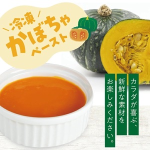 冷凍かぼちゃペースト2.0kg(500g×4袋) 山形県遊佐産 冷凍便 ※離島発送不可 冷凍 かぼちゃ カボチャ 南瓜 野菜 野菜ペースト 離乳食 介護食 お菓子作り 小分け ゆざ食彩工房 遊佐町 庄