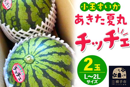 【先行受付】7月中旬より発送 夏の贈り物 秋田県産 あきた夏丸チッチェ 小玉すいか 2玉（L～2Lサイズ）