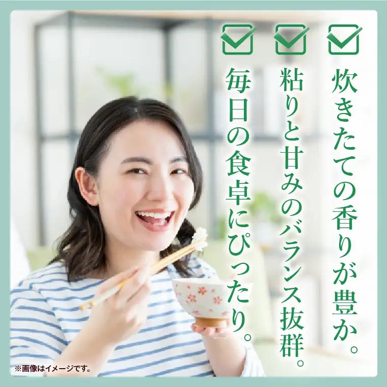 令和7年産 茨城県産 コシヒカリ15kg（5kg×3袋）【お米 米 コメ こめ こしひかり 北茨城市 茨城県】(AL255)