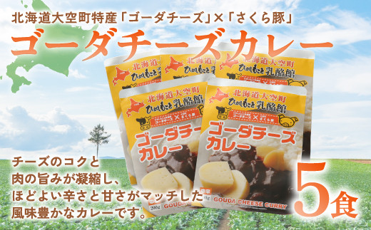 ゴーダチーズカレー200g×5食 【 ふるさと納税 人気 おすすめ ランキング カレー カレーライス ご飯 チーズ ゴーダチーズ チーズカレー レトルト 北海道 大空町 送料無料 】 OSA017