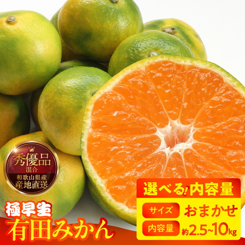 【ふるさと納税】【2025年先行予約】 みかん 極早生 おまかせサイズ （S/M/L） 秀品 優品 混合 選べる 内容量 箱込 2.5kg ～ 10kg 有田みかん 和歌山県産 さわやか 口当たり 酸味 甘み さっぱり みかんの会 フルーツ デザート お取り寄せ 和歌山県 湯浅町 送料無料