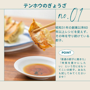 ぎょうざ・野沢菜漬けぎょうざ [各12粒入り×1パック]/テンホウ[21-38]