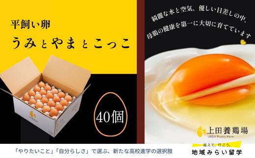 
            【上田養鶏場】平飼い卵「うみとやまとこっこ」40個
          