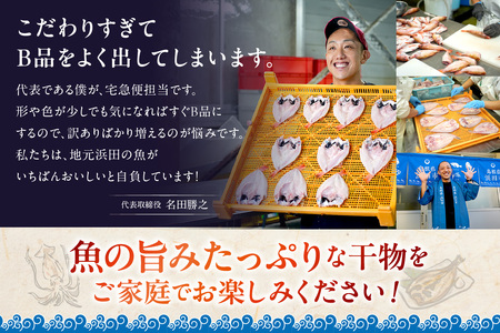 【山陰浜田港・水揚げ】白いか一夜干し（4枚） 魚介類 魚貝類 干物 干もの 一夜干し お中元 お歳暮 白いか 特産品 つまみ 加工品 【136_1996】