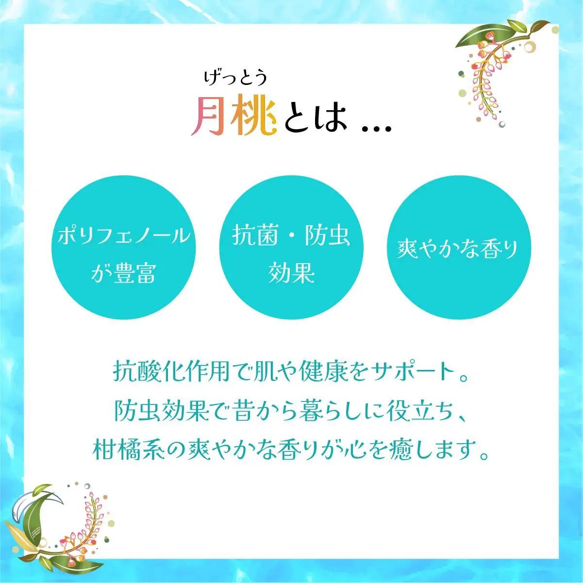 幸－美彩－さちちゅらいろ 月桃バーム（10g）OA-01