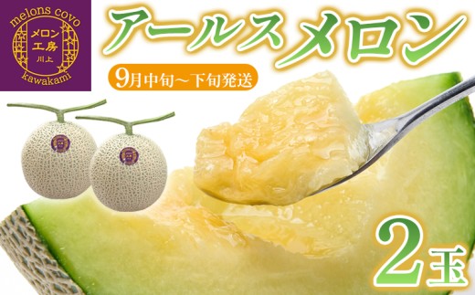 写真はイメージです
