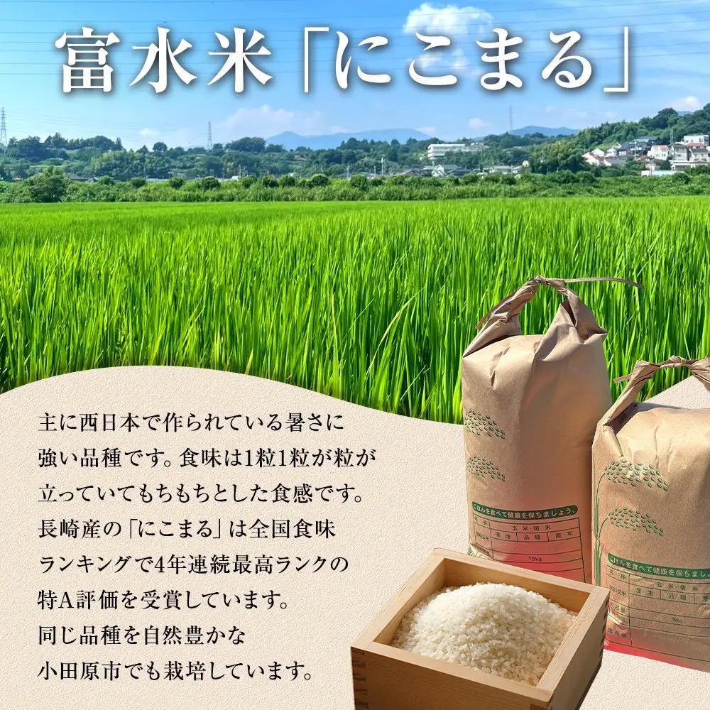 【期間限定・数量限定！】令和7年産　毎月お届け　定期便　富水米　精米　5kg×12か月　にこまる
