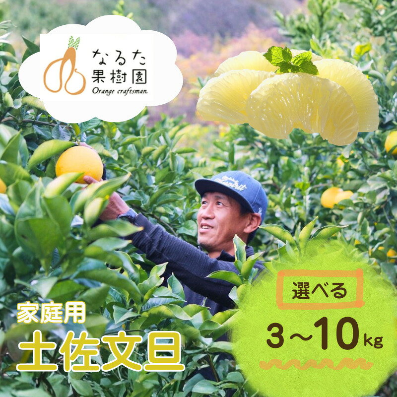 【ふるさと納税】 フルーツ先行予約 期間限定 文旦 選べる 3kg～10kg （家庭用） M~5L 成田果樹園 文旦3L 文旦4L 文旦5L 大玉 3l 4l 5l 5キロ 10キロ 訳あり ぶんたん 文旦 分担 柑橘 果物 フルーツ 文旦高知 高知文旦 高知 高知県 黒潮町 土佐 土佐文旦 家庭用文旦 [1684-2]
