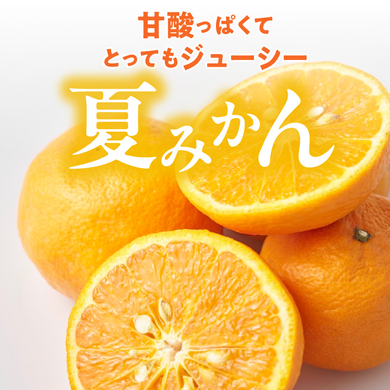 ZE6504_【2026年先行予約】和歌山県産　夏みかん　3kg　秀品