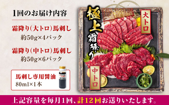 【全12回定期便】国産 馬刺し 計約500g ( 大トロ 約200g 霜降り中トロ 約300g ) 専用醤油付き 熊本 霜降り 中トロ 熊本県産 冷凍 馬肉 馬刺 ヘルシー 真空 パック 極上 小分け