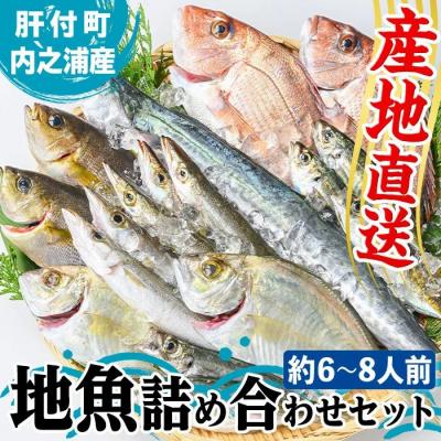 ふるさと納税 肝付町 魚屋さんの選んだ新鮮お魚詰め合わせ(約6〜8人分)　C09001