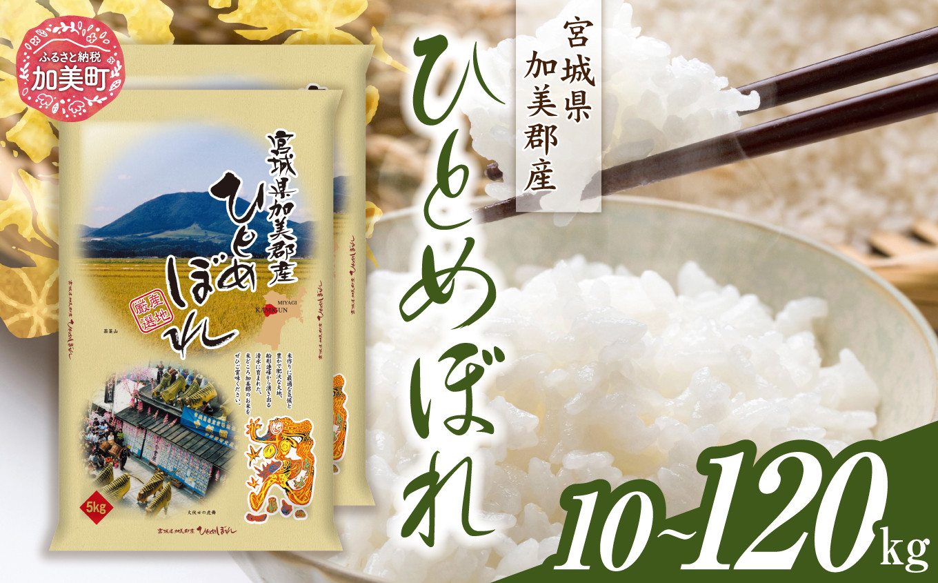 
            令和6年産 宮城県加美産 ひとめぼれ 10kg(5kg×2）定期便 1回 ～ 12回 [カメイ 宮城県 加美町 ] お米 こめ コメ 精米 白米 | km00013-r6
          