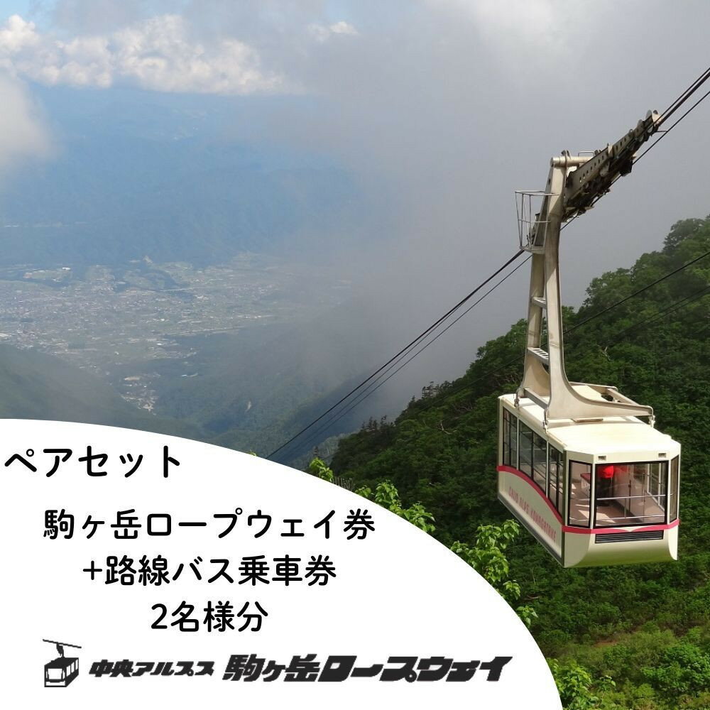 【ふるさと納税】中央アルプス駒ヶ岳ロープウェイ・路線バス ペア乗車引換券 | 券 人気 おすすめ 送料無料