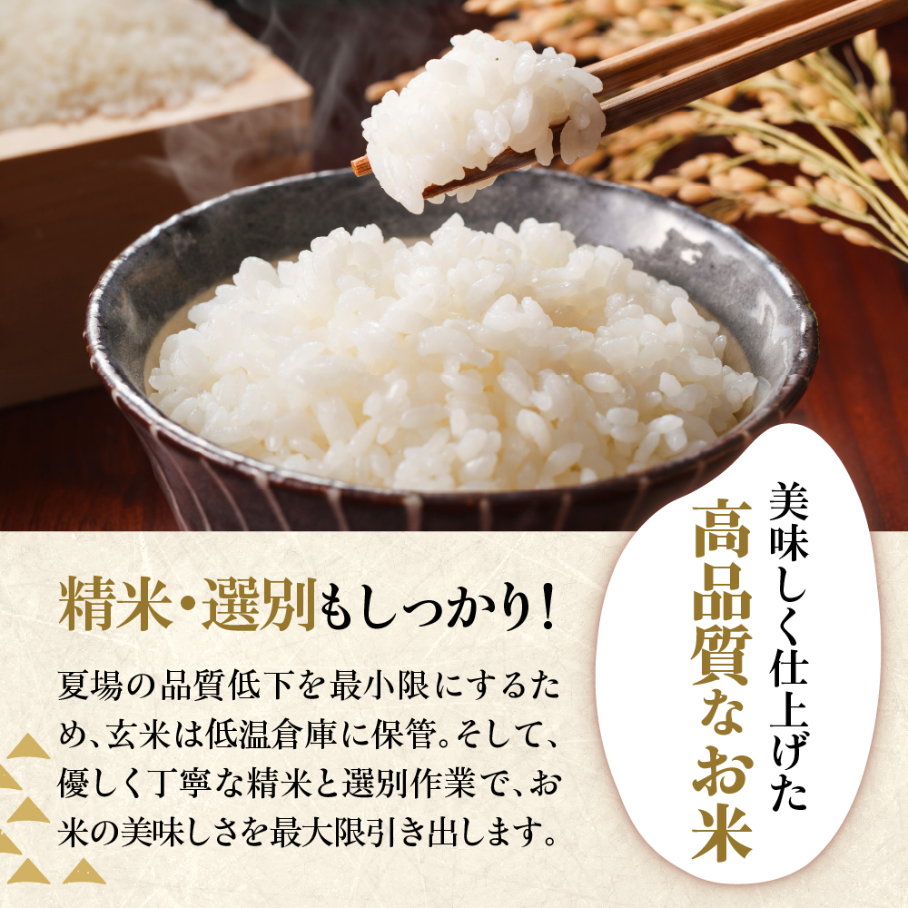 【 令和6年産】 雪若丸 計 10kg ( 5kg × 2袋 ) ブランド米 2024年産