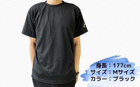 八咫烏Tシャツ / 和歌山 田辺市 本宮 熊野本宮大社 八咫烏 やたがらす 服 ティーシャツ 日用品 雑貨【ptl006】