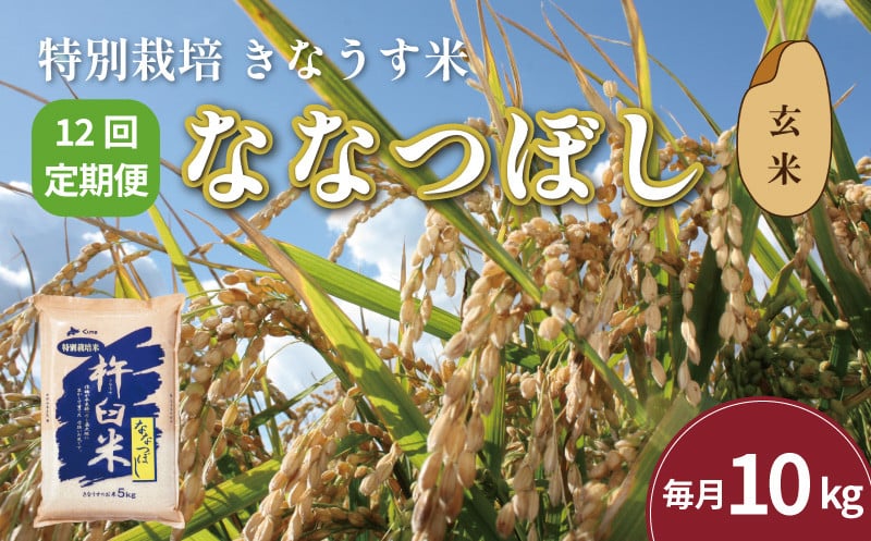 
            【玄米12ヶ月定期便】特別栽培「きなうす米」ななつぼし10kg×12回　U006
          