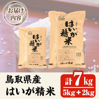 ふるさと納税 境港市 鳥取県産胚芽米(5kg・2kg/計7kg)【7-10月発送不可】 |  | 03