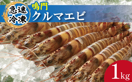 車海老 1kg 約28尾～36尾 クルマエビ